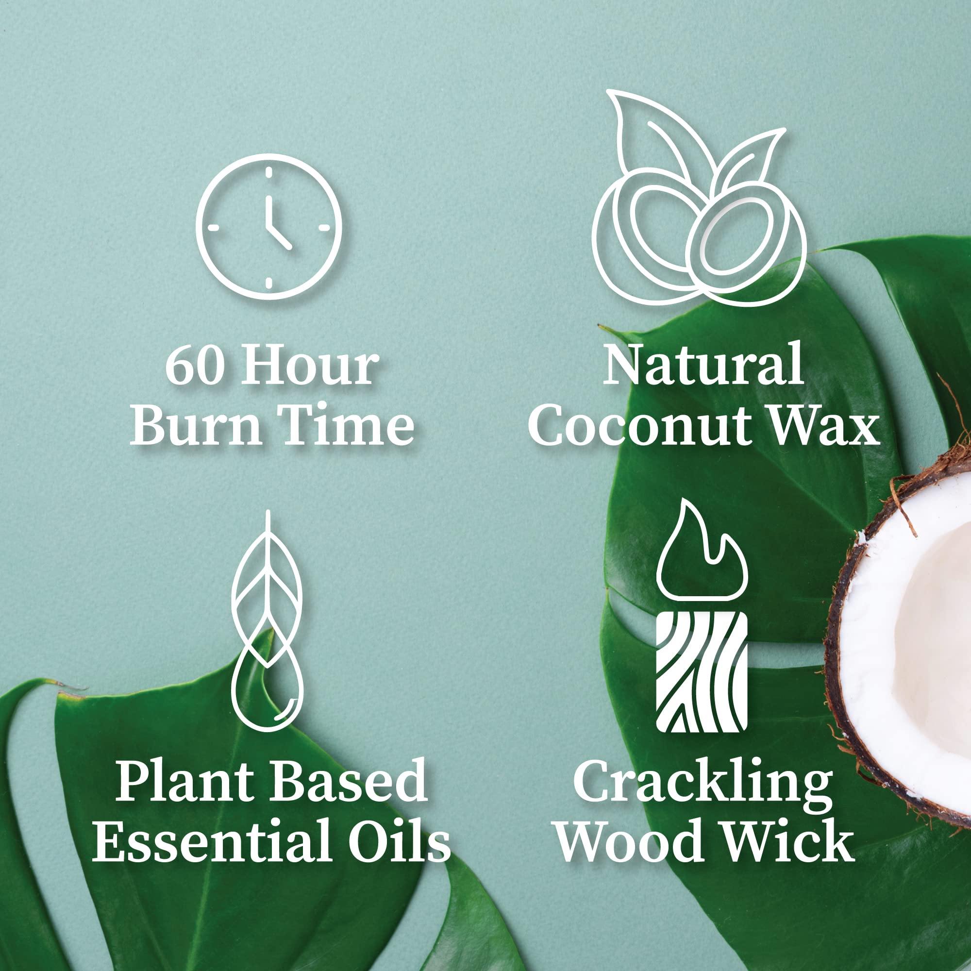 Crackling Wood Wick Candle Handcrafted With Natural Coconut Wax And Essential Oils (Palo Santo, Standard 8 Oz)